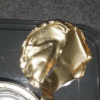 Dardanel Ton Balığı Konservesinde Böcek