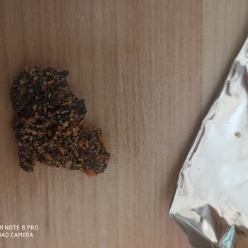 Eti Gıda Eti Susamlı Çubuk Krakerden Pislik Çıktı