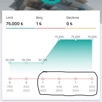 Findeks'in Aylarca Girdiği Hatalı Veriler