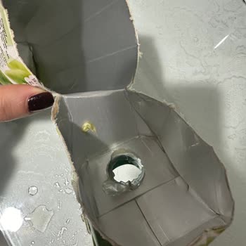 Cappy Meyve Suyu İçerisinden Çıkan Yosun