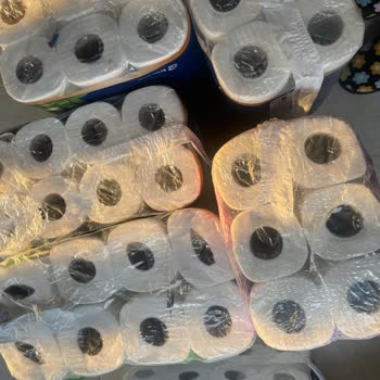 Solo Ve Selpak Kurtlu Çıkması