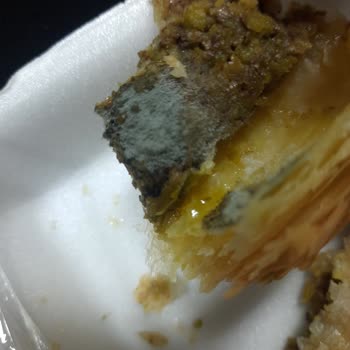 Koleti Fırın Koleti Happy Center Üsküdar Küf! Çıktı! Tatlının İçinde!