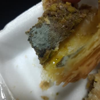 Koleti Fırın Koleti Happy Center Üsküdar Küf! Çıktı! Tatlının İçinde!