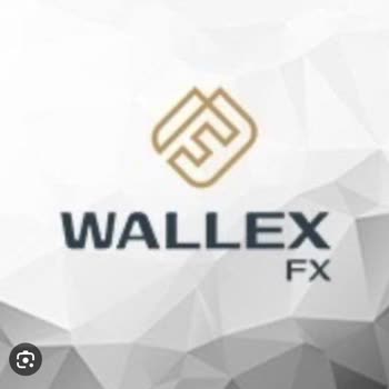 Wallex Fx Önemli Görüşlerinizi Bekliyorum