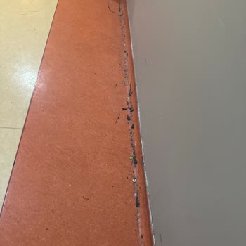 Kocaeli Üniversitesi Hastanesi Şikayetlerim...