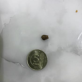 Gurumen Markalı Ürünlerde Beklenmedik Sürprizler