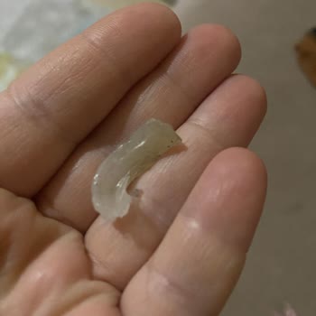 Malatya Pazarı Murat Palancı Çekirdekteki Şaşırtıcı Bulgu Ve Hijyen Endişesi