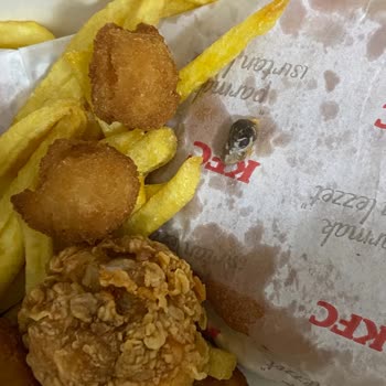 KFC Menüsünün İçinden Yabancı Madde Cıktı!