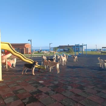 Karataş Belediyesinin İlgisizliği