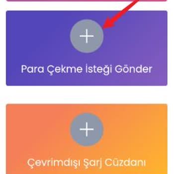 Neweggil Mağaza Açma Vaadiyle Kaybım