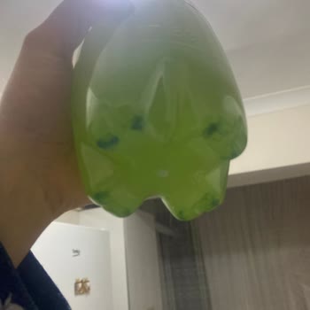 Schweppes Bitter Limon Dibinde Yeşil Yabancı Şeyler