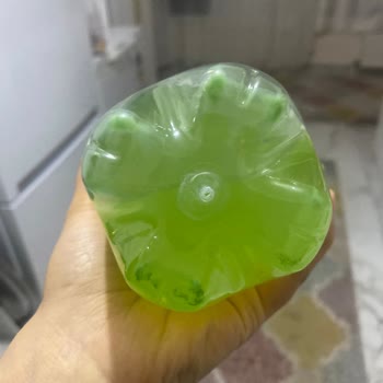 Schweppes Bitter Limon Dibinde Yeşil Yabancı Şeyler