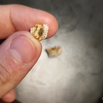 A101 Bozuk Süt Ekmek