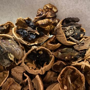 Kaptan'ın Ceviz Çiftliği (cevizhane.org) Bozuk Çıkan Cevizler