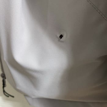 Koton Montumun Kısa Sürede Düğmesi Koptu