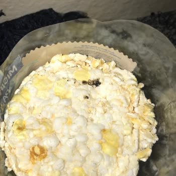 A101 Pirinç Patlağından Çıkan Madde