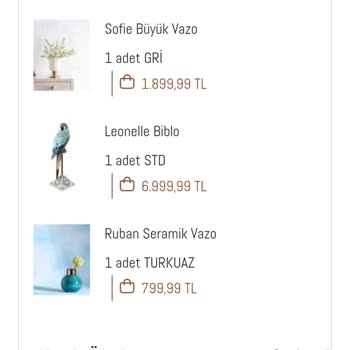 Madame Coco Göndermediği Ürünün Parasını İade Etmiyor.