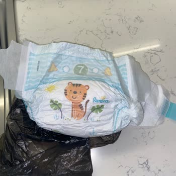 Prima Bezin İçinde Tortular