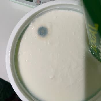 Pınar Doğal Yoğurt Küflü Çıktı