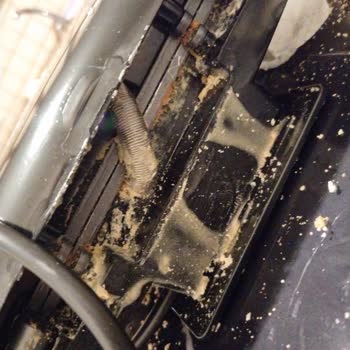 Kiwi Waffle Makinesi Şikayeti