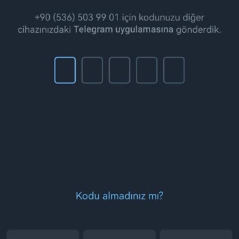 Telegram'a Giriş Yapamıyorum