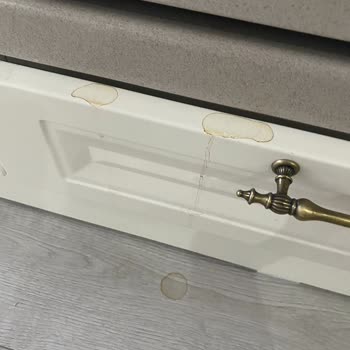 Çözülemeyen Franke Fırın Sorunu