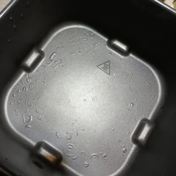 Proscenic Marka Airfry Şikayet