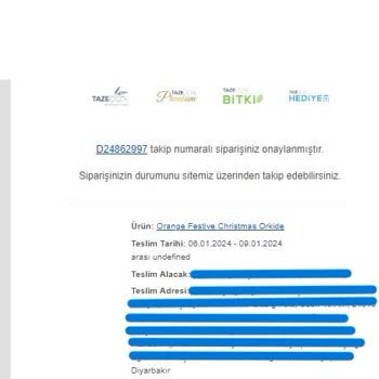 Taze Çiçek Zamanında Teslimat Yapılmadı İade Edilecek Dendi Vazgeçildi