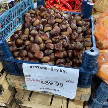 Kocaman Alışveriş Merkezi Çin Kestanesi Satışı