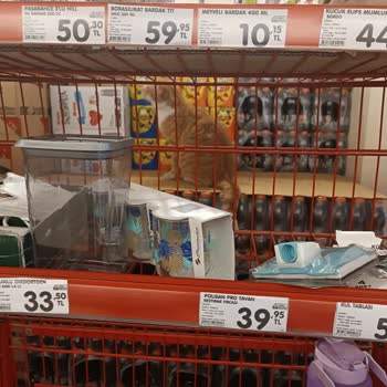 Şok Marketler İçinde Hayvan Beslenmesi