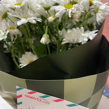 Osevio.com Yine Yanıltmadı. Pişmanlık.