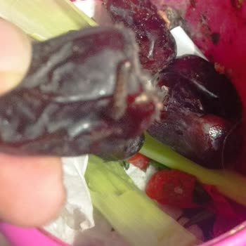 Ege Pazarı'ndan Aldığım Ürünlerde Küf Şoku!