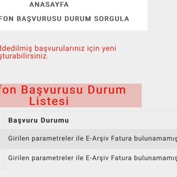 Teknosa Devlet Destekli Denen Telefon Gerekli E-fatura Gözükmüyor