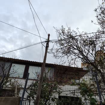 Türk Telekom Sokaktaki Kabloyu 40 Gündür Onarmıyor