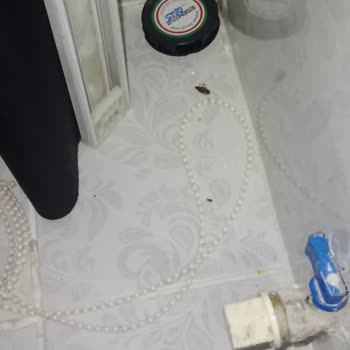 Bahçelievler Belediyesi Hamam Böceği Sorunu Bahçelievler Belediyesine Duyuru