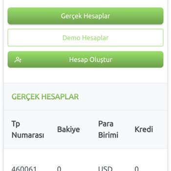 Zirve Investment (zirveinvestment.com) Yatırım Platformlarında Dikkat Edilmesi Gerekenler