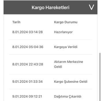 Bir Günde Kargo Teslimat Çilesi