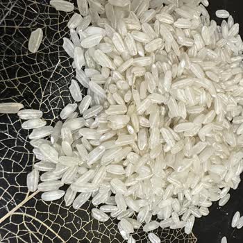 Hasata Bozuk Pirinç Ağır Kokulu