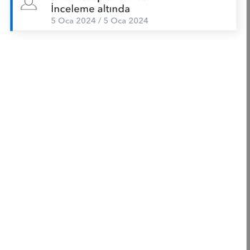 Payoneer Hesabım Onaylanmıyor, İstenilen Belgeleri Verdim.