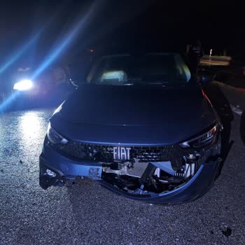 Türkiye Sigortası Nın Uygulaması