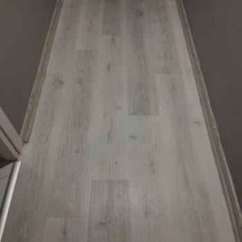 TerraClick Parkede Renk Uyumu Yok