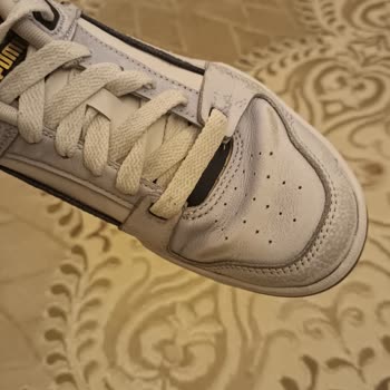 Puma Boyası Vermiş Ürün