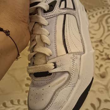 Puma Boyası Vermiş Ürün
