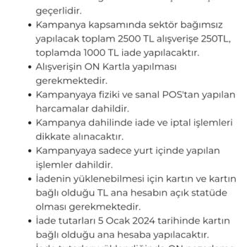 On Dijital Bankacılık Yılbaşı Kampanyası Ödülünü Yüklemiyor