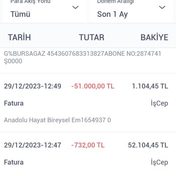Anadolu Hayat Emeklilik Yapılmayan Para İadesi