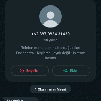 WhatsApp Yurt Dışı WhatsApp Mesajı