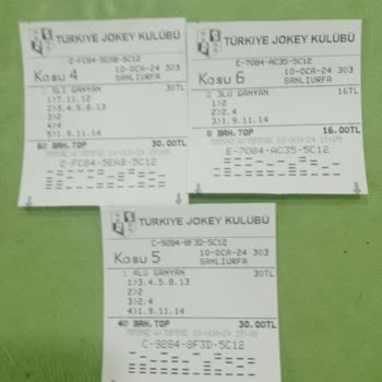 Türkiye Jokey Kulübü (tjk) Urfa Yarışında Sorun Var