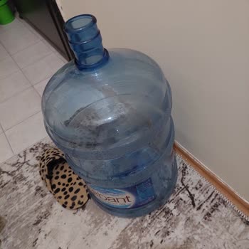Abant Su Uygulaması Ve Avcılar Bayi Terbiyesizliği.