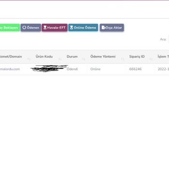 Aksoyhlc.com Üzerinden Aldığım Scripte Erişemiyorum