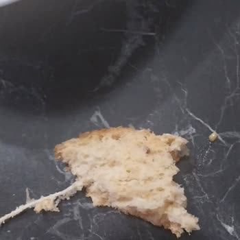 UNO Ekmek Ekmeğin İçinden İp Cıktı